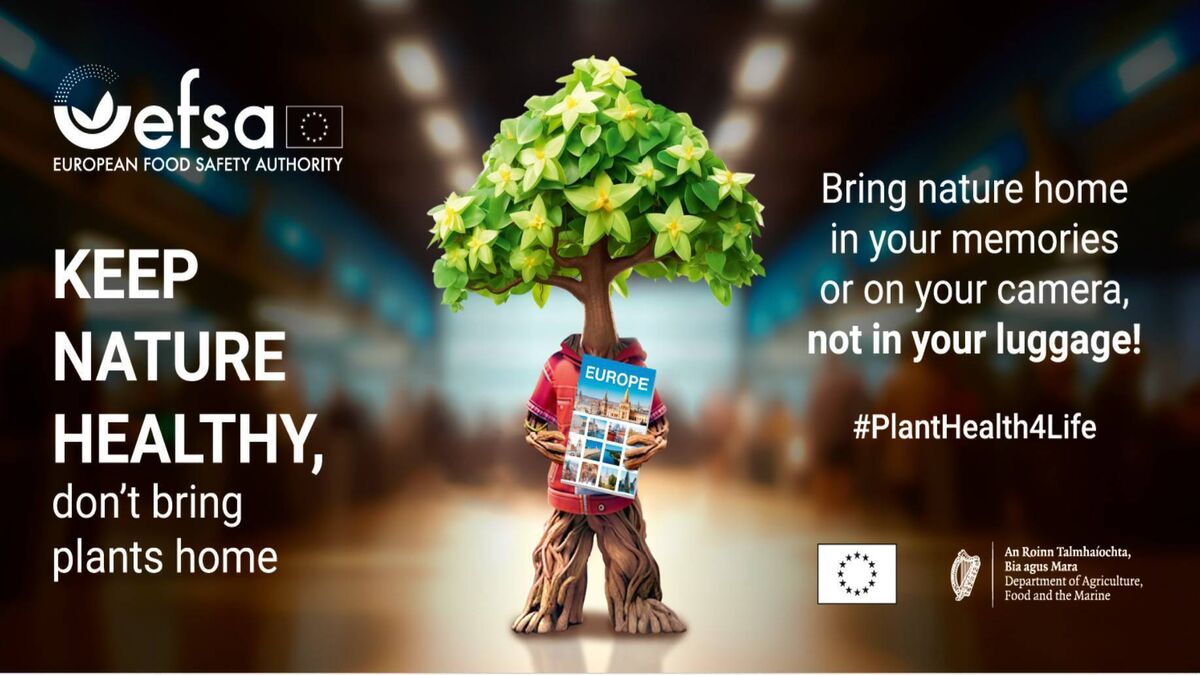 The #PlantHealth4Life campaign is led by the European Food Safety Authority (EFSA) and the European Commission (EC), with support in Ireland from the Department of Agriculture, Food &amp; the Marine. 