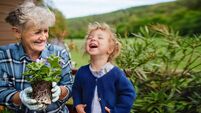 Top tips to protect Ireland's plant health
