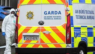 Bodies of boy and man removed from separate Dublin homes