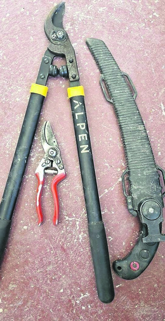  Dust down, oil, and sharpen your tools for a better pruning experience