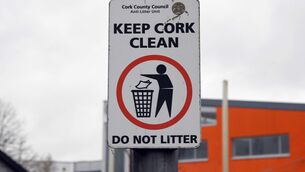 <p>"The levels of dumping at this site were quite phenomenal," the survey detailed of one Northside location. 	Picture Denis Minihane.</p>