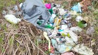 Cork County Council received 1,144 litter, dumping and fouling complaints in 11 months