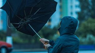 <p>Met Éireann added that the potential impacts during the yellow wind warning include some wave overtopping, loose objects displaced, some fallen trees and branches, along with difficult travelling conditions in places.</p>