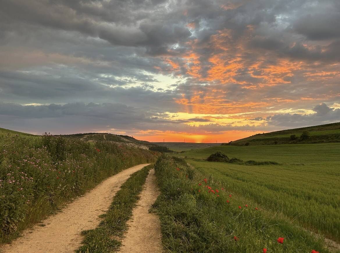 A view of the Meseta, during Pamela’s Camino trip.