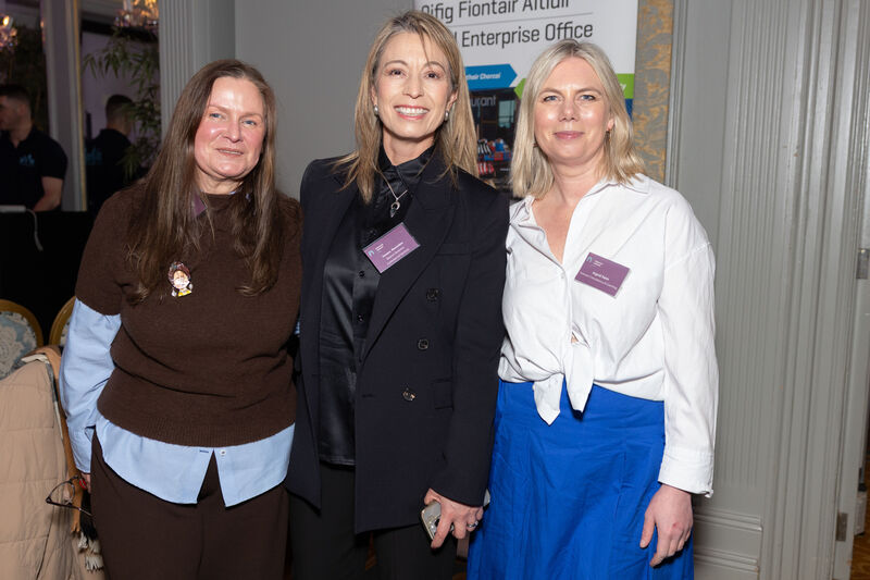 Elke McCarthy, Bia Sasta, Susana Marambio, BBCS Business Advisors and Ingrid Seim, Avenues Consultancy &amp; Coaching at the Network Ireland Cork Branch January event titled Get Published in 2026 in the Imperial Hotel. Picture: Darragh Kane