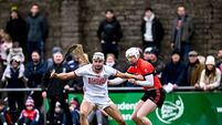 UCC v Cork - Canon O'Brien Cup