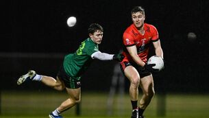<p>Dan Peet of UCC in action against Noah Grimes of Queen's University Belfast. Picture: Tyler Miller/Sportsfile</p>