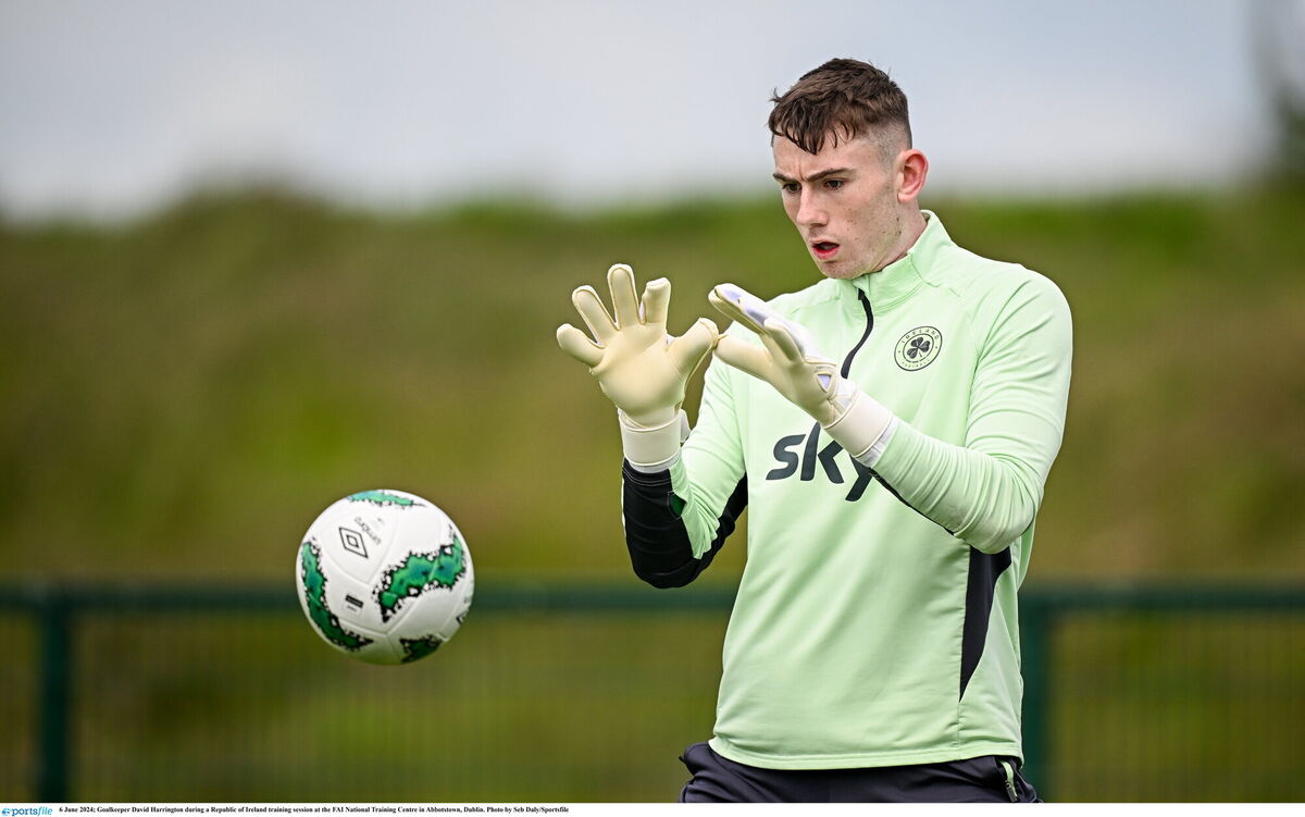 Cork native David Harrington has moved to Bolton Wanderers. Picture: Seb Daly/Sportsfile