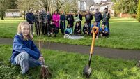 County Mayor's Column: New year kicks off with school tree planting programme
