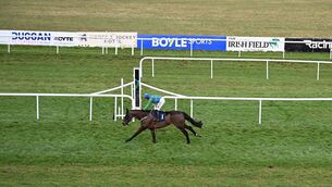 <p>Appreciate It and Paul Townend win for trainer Willie Mullins. Picture: Healy Racing</p>