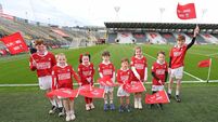 Cork mascot competitions to run again across leagues