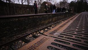 Nearly 30 per cent of young Irish adults believe Holocaust is a 'myth' or 'greatly exaggerated'