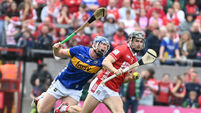 Mark Coleman: 'You'd want to' love the job of inter-county hurling