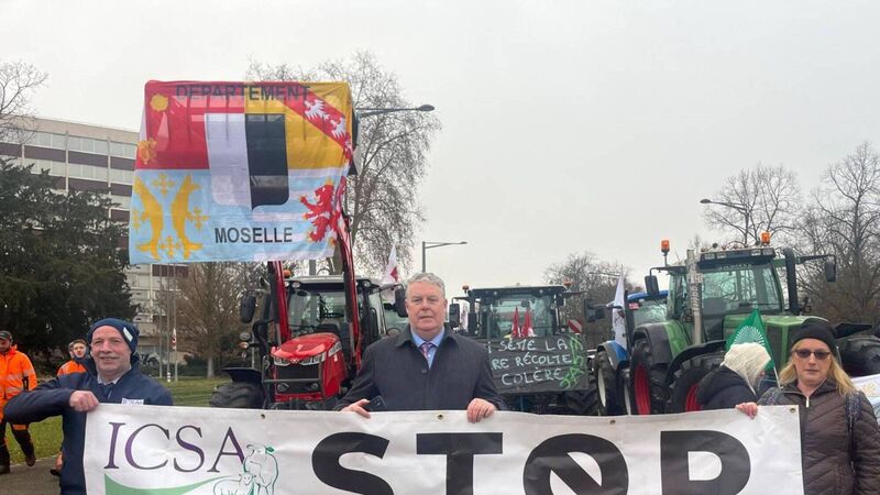 Cork IFA fears Mercosur deal could proceed 'in interim' following Wednesday's vote