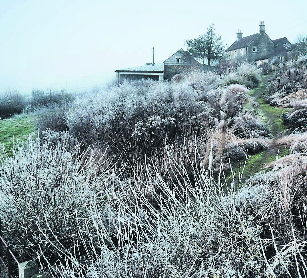 Garden designer Dan Pearson’s sloping perennial garden at Hillside in Somerset, England. Picture: Andrew Montgomery
                    