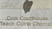 Cork mother who feared daughter would be sexually assaulted struck intruder's head with a hurley