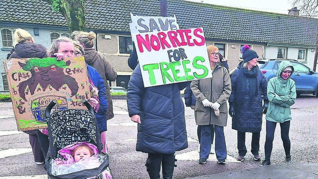 <p>Residents protesting at Knockfree Avenue, Fair Hill, over the removal of trees and parking spaces from the area.</p>