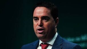 Bluetongue virus detected in Co Wexford herd, minister says