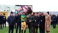 Festival Trials Day - Cheltenham Racecourse - Saturday 24th January