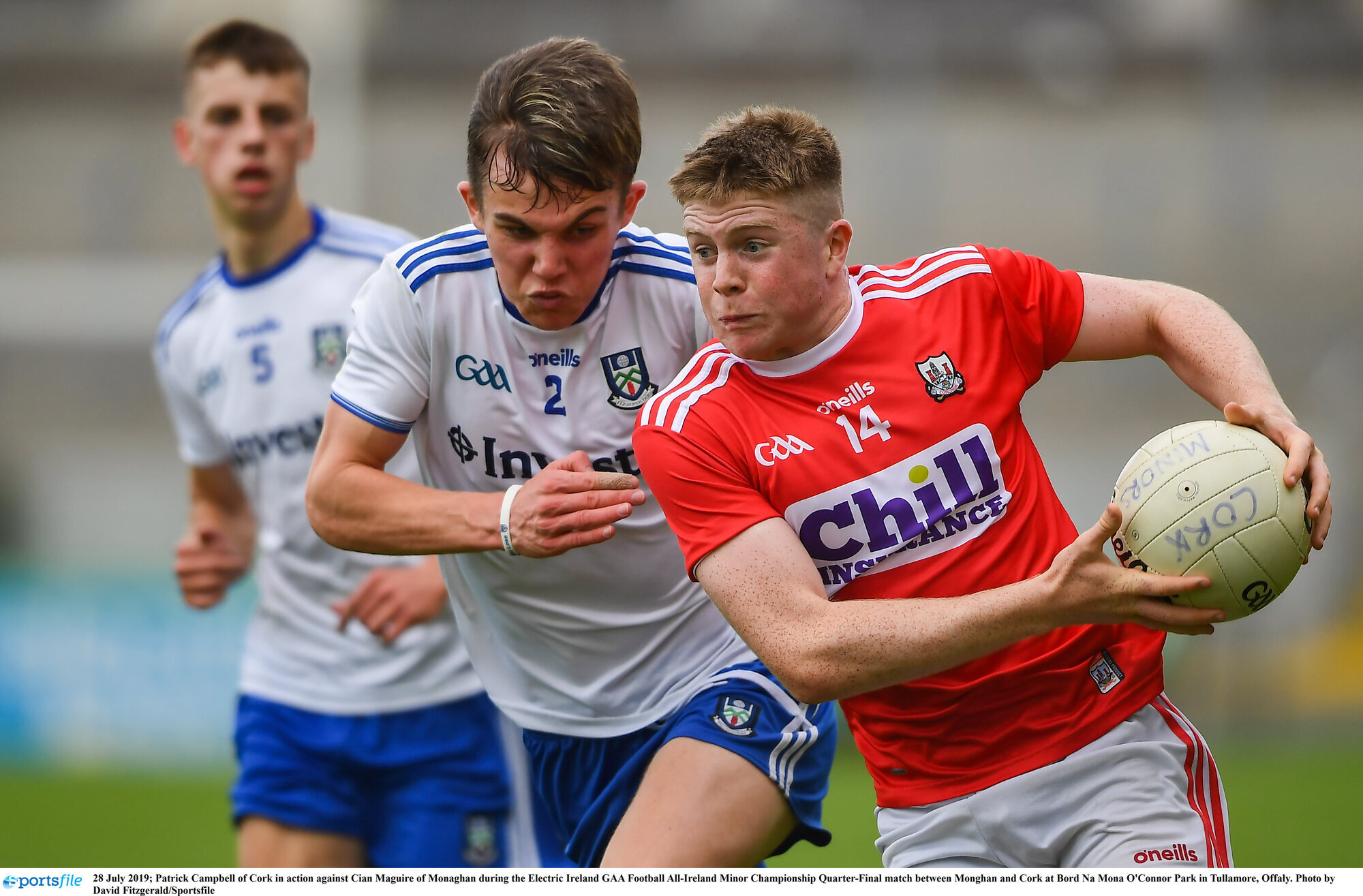 Rugby star Patrick Campbell looks back on All-Ireland triumph with Cork ...