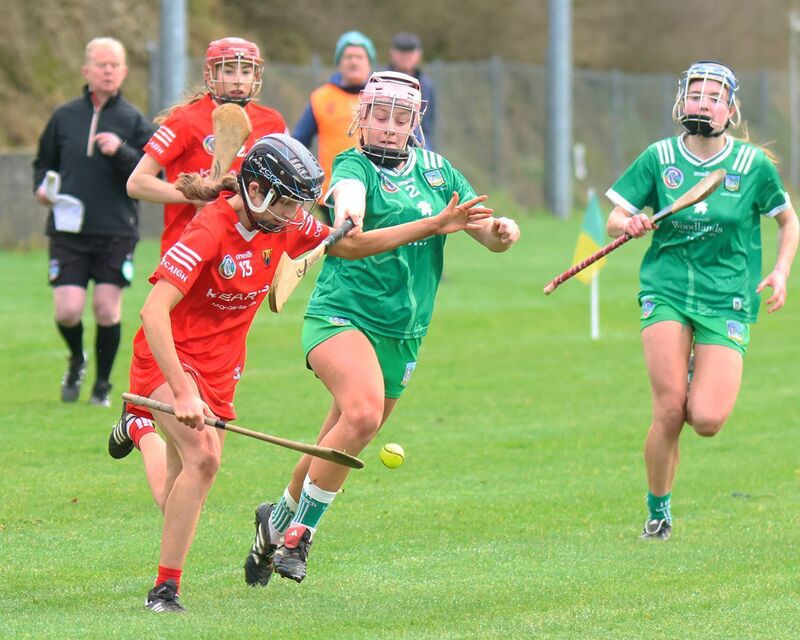 Lea Meillouin, Cork, holds off Tara Hynes, Limerick, in the Munster Minor Camogie Championship final.  Picture: Brendan Gleeson 