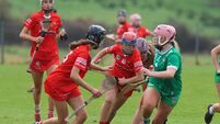 Cork crowned Munster minor camogie champions after battle with Limerick