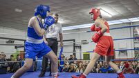 20260125 Boxing - County Championships Day 2