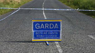 Woman (60s) dies after being struck by truck in Swords