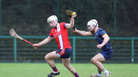 Fitzgibbon Cup: MTU fall to quarter-final defeat at home to DCU