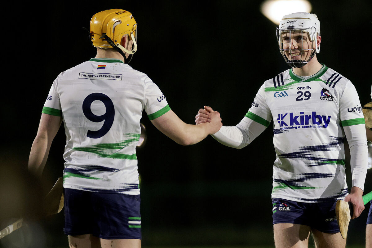 University of Limerick's Jack Leahy celebrates after the game with Fintan Fitzgerald. Picture: ©Inpho/Laszlo Geczo