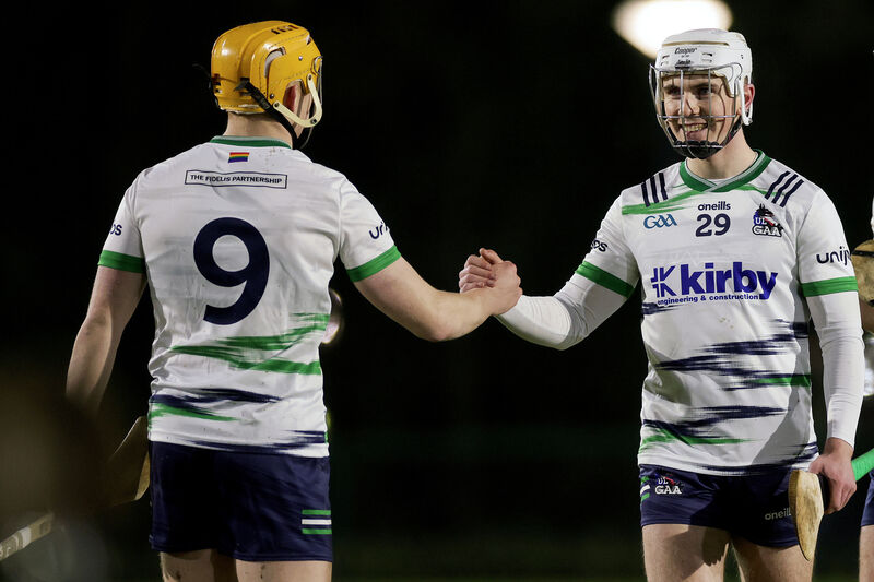 University of Limerick's Jack Leahy celebrates after the game with Fintan Fitzgerald. Picture: ©Inpho/Laszlo Geczo