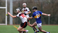 Coláiste an Spioraid Naoimh beaten in Munster hurling final by goal-hungry Tralee CBS