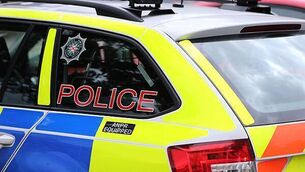 Three men arrested after suspected cannabis plants found in Belfast Three men arrested after suspected cannabis plants found in Belfast