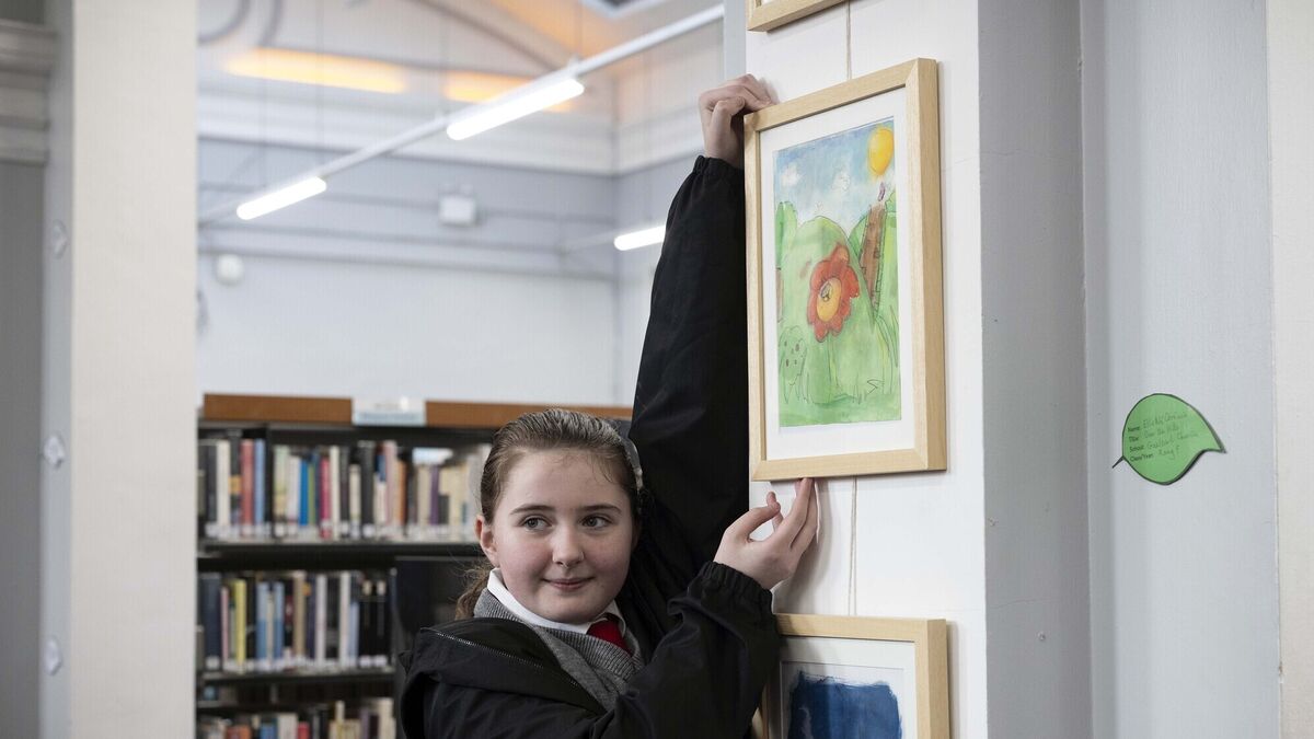 Cork schools invited to take part in Creative February