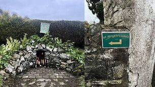 The healing properties of St Brigid's wells and Brat Bhríde