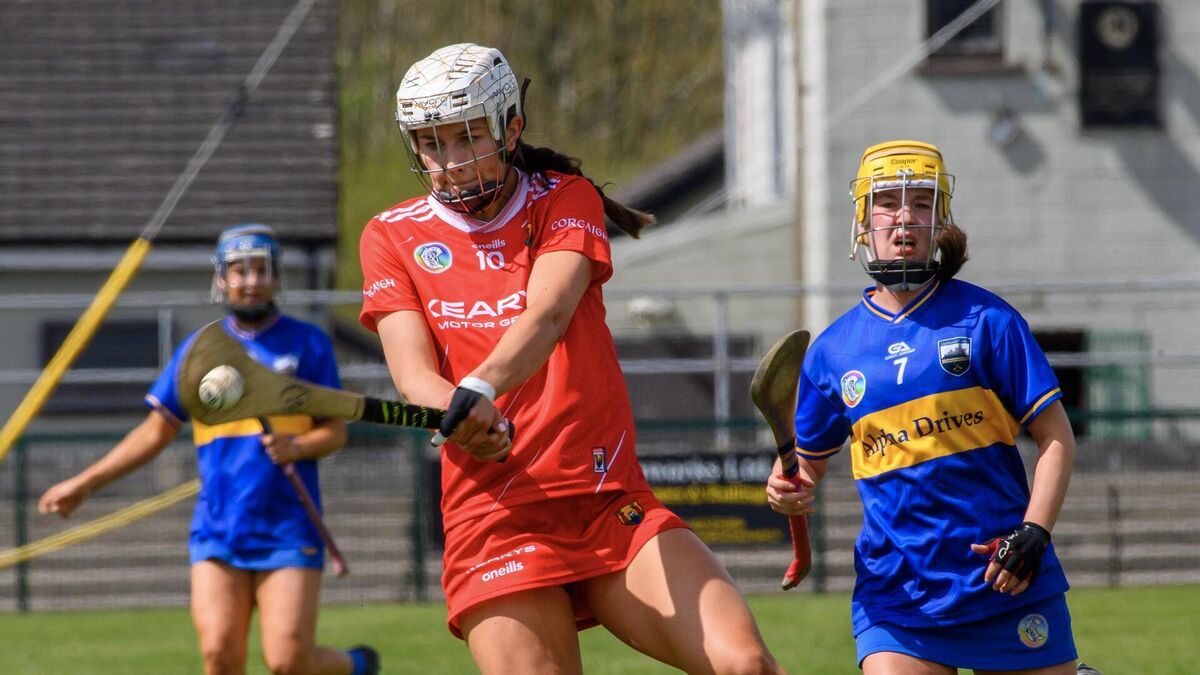 UCC hoping to reach two camogie finals