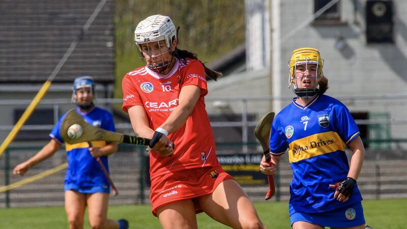 UCC hoping to reach two camogie finals