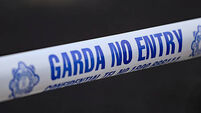 54373193 Garda