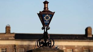 Garda who slammed handcuffed teenager's head off the ground is jailed for a year