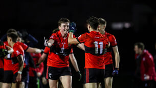 <p>UCC’s Harry Ahearne and Emmet Daly celebrate. Picture: INPHO/Nick Elliott</p>