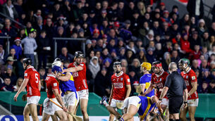 <p>Tempers flare between the two teams coming up to half-time. Picture: Inpho/Ben Brady</p>