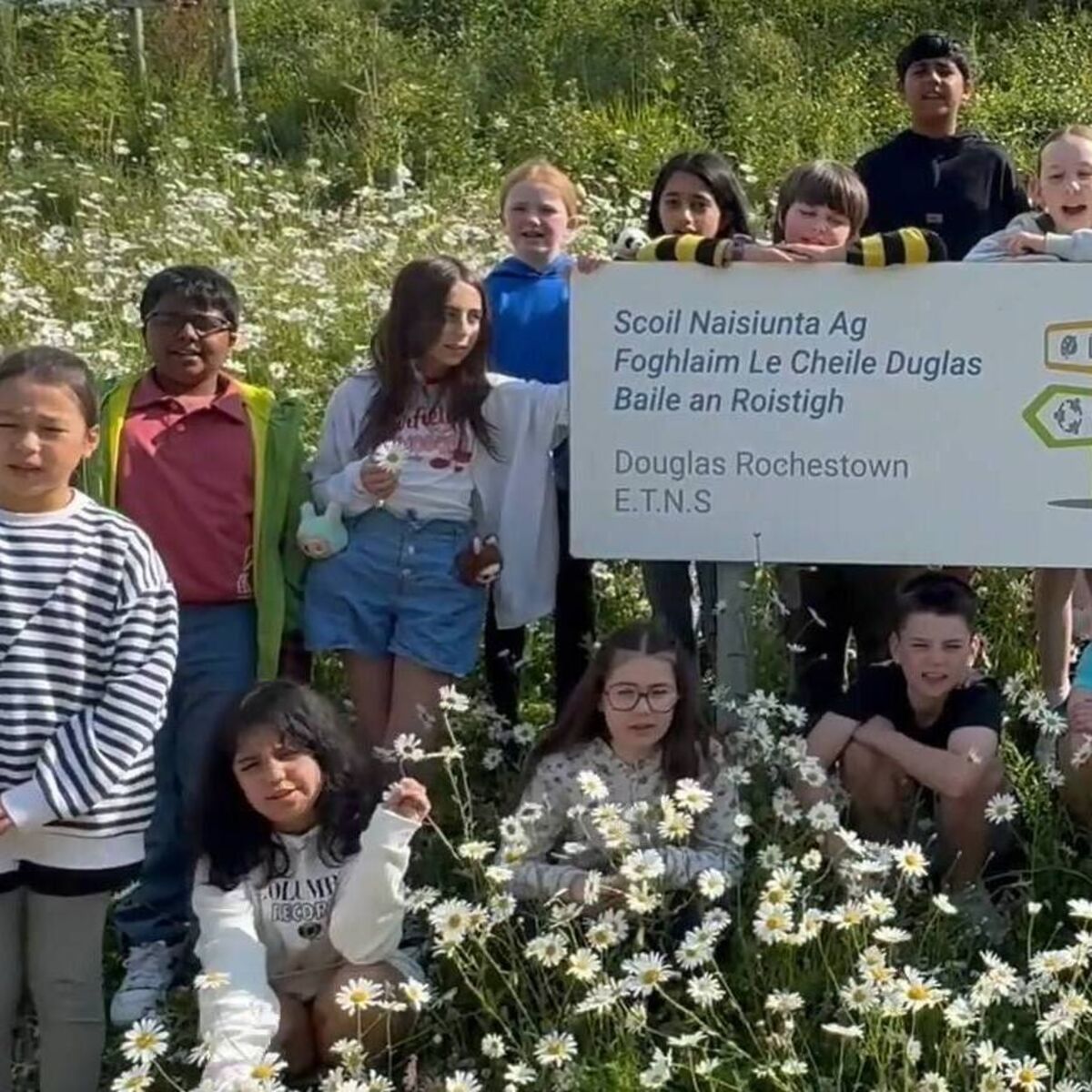 echolive.ie - Rachel Lysaght - Four Cork primary schools shortlisted for annual F&Iacute;S Film Awards