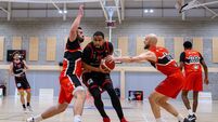 Cork Basketball: Ballincollig back on track but face tricky trip on Thursday night at Tralee Warriors