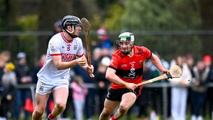 <p>UCC's Seán Daly (right) in action against Cork's Jack Cahalane – a prospective new teammate –during the Canon O'Brien Cup game at the Mardyke in December. Picture: Piaras Ó Mídheach/Sportsfile</p>