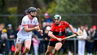 UCC v Cork - Canon O'Brien Cup