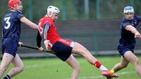 Fitzgibbon Cup teams should get priority access to hurlers in early rounds of the league