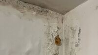 Terminally-ill child languishing in damp-ridden Cork home