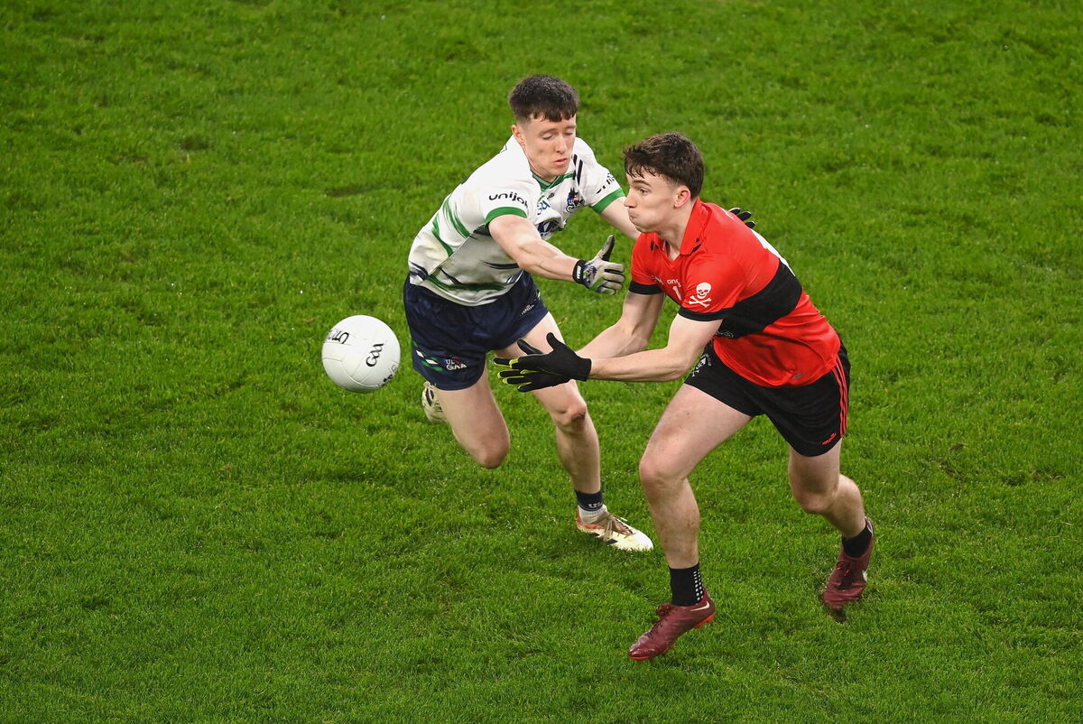 Ruairi Murphy of UCC in action against Seán Morohan of UL. Picture: Stephen McCarthy/Sportsfile