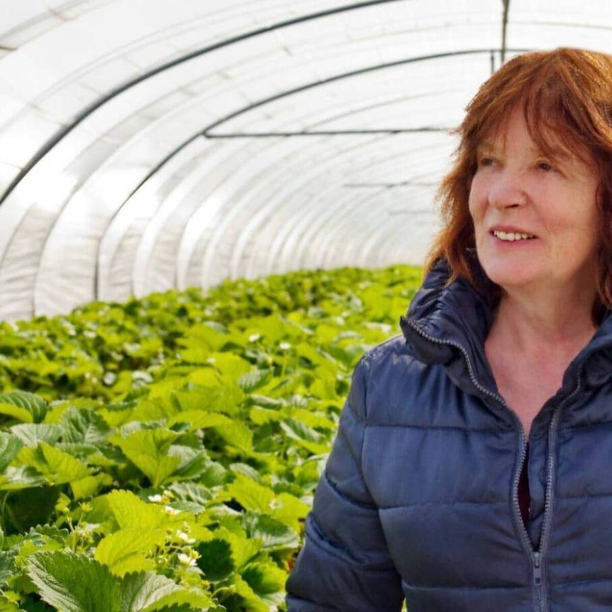 echolive.ie - Fruitful time for Cork jam business founded by two women in the 1980s