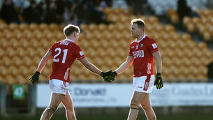 <p>Cork's Dara Sheedy and Steven Sherlock congratulate each other after Sunday's win over Offaly - the Bantry man started the game wearing 21, one of four changes from the announced team. Picture: Inpho/Bryan Keane</p>